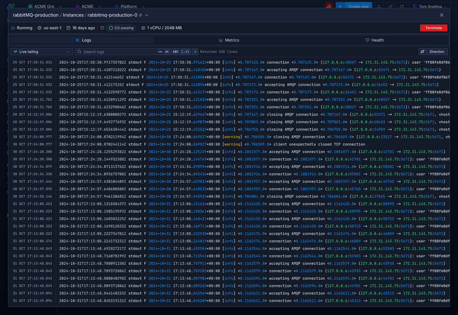 Log viewer showing granular output for a running instance
