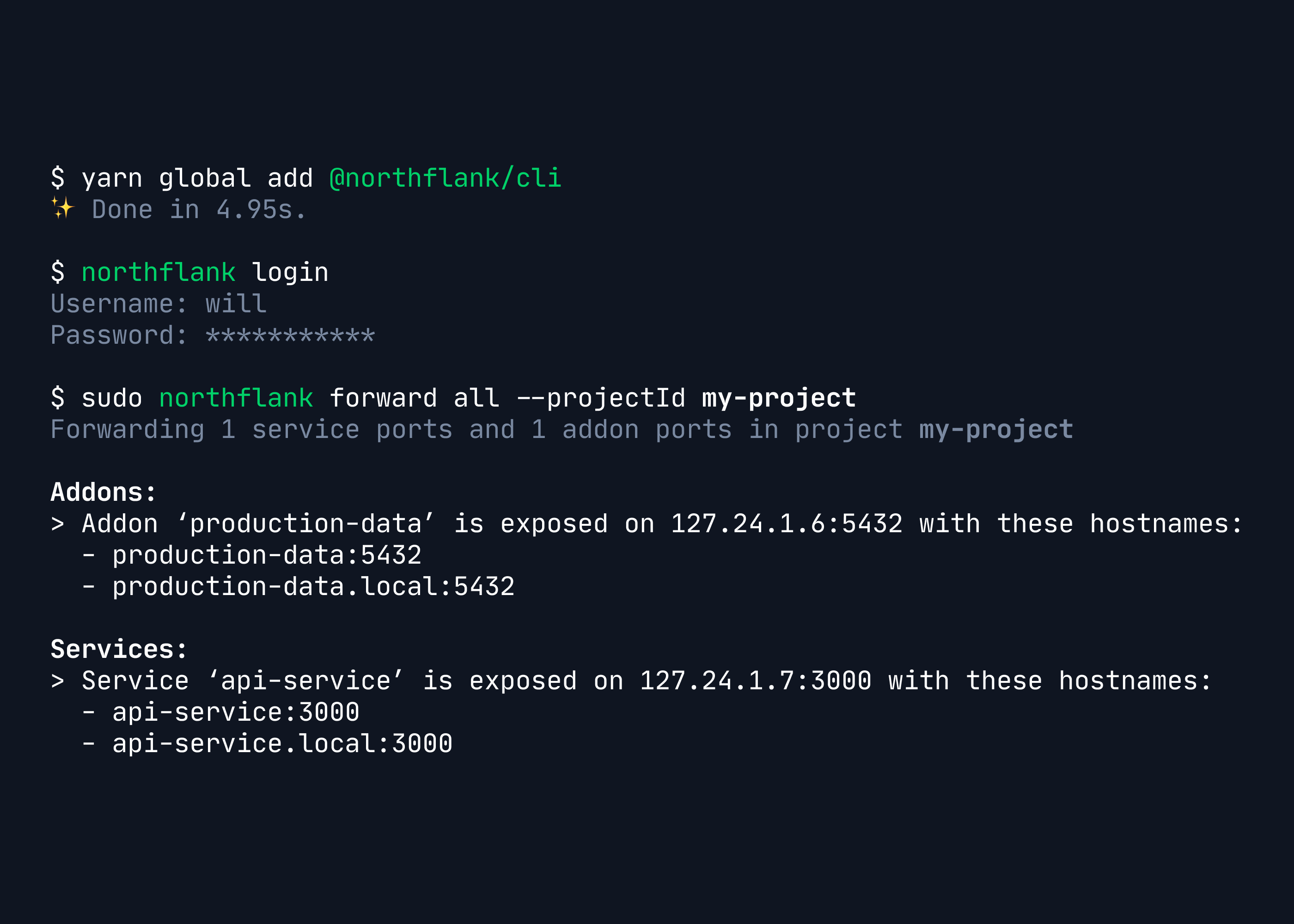 Screenshot of Northflank CLI