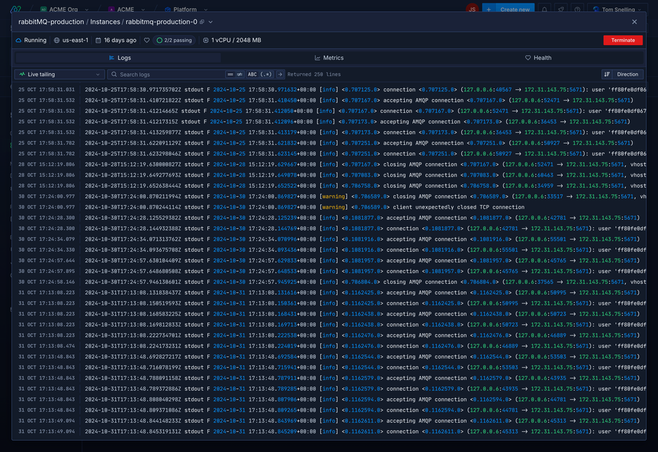 Log viewer showing granular output for a running instance